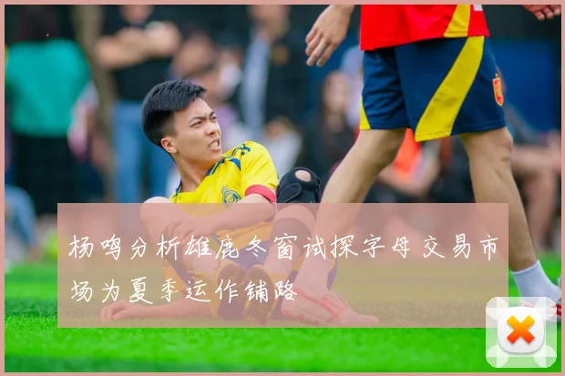 杨鸣分析雄鹿冬窗试探字母交易市场为夏季运作铺路